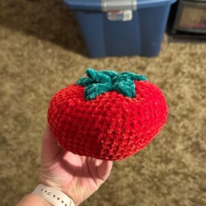 Red Plush Tomato Toy